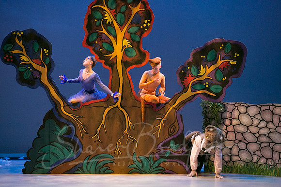 Peter and the Wolf Sat 2018 pc Sharen Bradford-0323