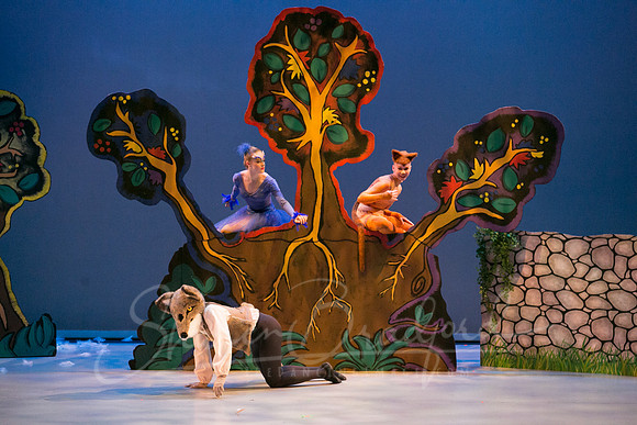 Peter and the Wolf Sat 2018 pc Sharen Bradford-0325