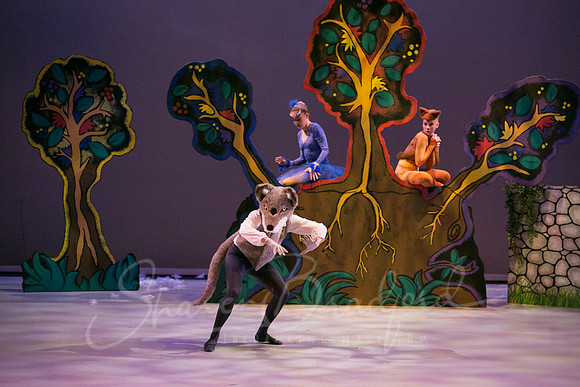 Peter and the Wolf Sat 2018 pc Sharen Bradford-0326
