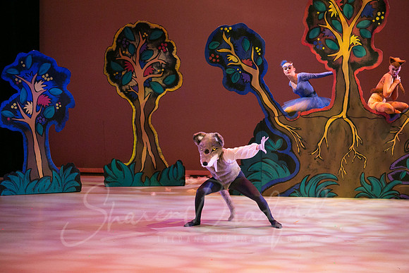 Peter and the Wolf Sat 2018 pc Sharen Bradford-0327