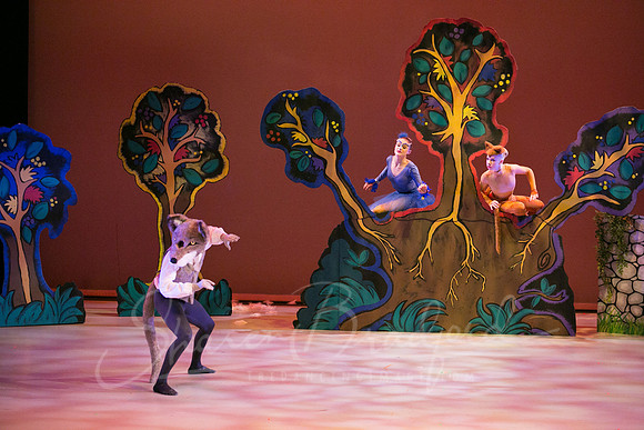 Peter and the Wolf Sat 2018 pc Sharen Bradford-0329