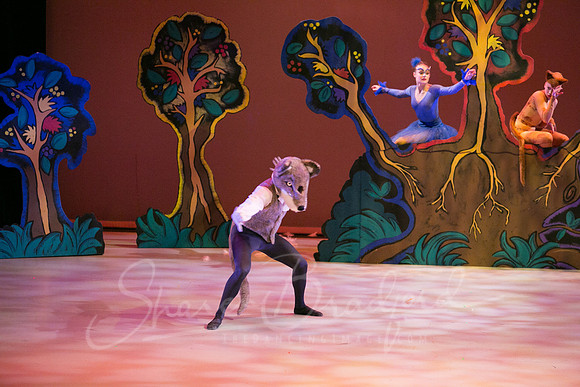 Peter and the Wolf Sat 2018 pc Sharen Bradford-0330