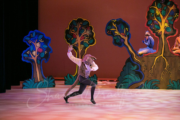 Peter and the Wolf Sat 2018 pc Sharen Bradford-0332