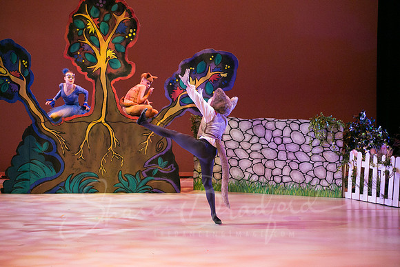 Peter and the Wolf Sat 2018 pc Sharen Bradford-0333