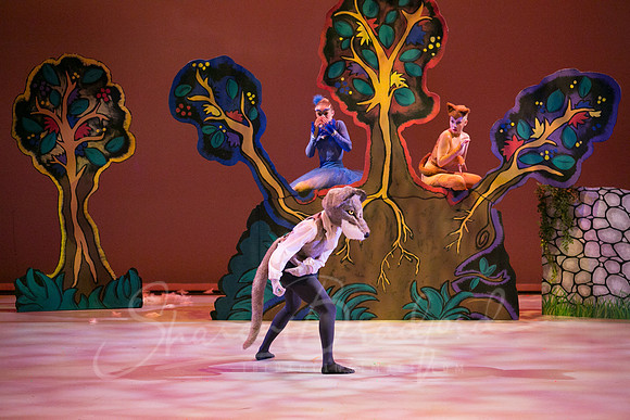 Peter and the Wolf Sat 2018 pc Sharen Bradford-0336
