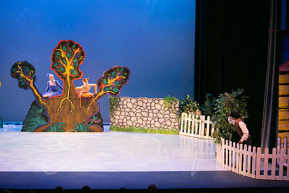 Peter and the Wolf Sat 2018 pc Sharen Bradford-0339
