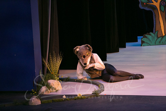 Peter and the Wolf Sat 2018 pc Sharen Bradford-0340