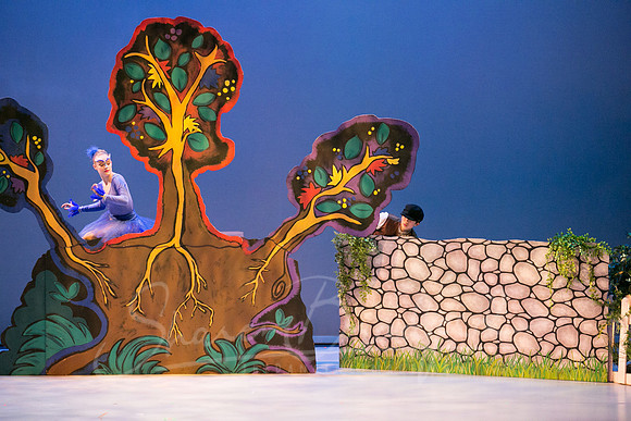 Peter and the Wolf Sat 2018 pc Sharen Bradford-0342