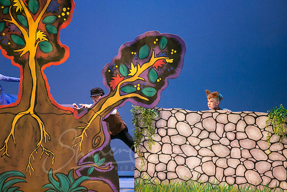 Peter and the Wolf Sat 2018 pc Sharen Bradford-0344