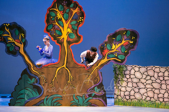 Peter and the Wolf Sat 2018 pc Sharen Bradford-0345