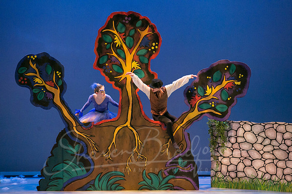 Peter and the Wolf Sat 2018 pc Sharen Bradford-0348