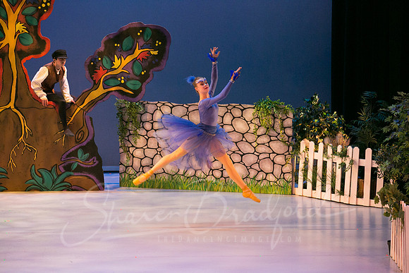 Peter and the Wolf Sat 2018 pc Sharen Bradford-0352