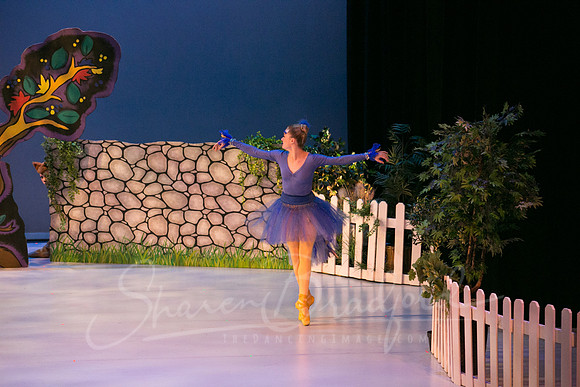 Peter and the Wolf Sat 2018 pc Sharen Bradford-0353