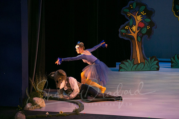 Peter and the Wolf Sat 2018 pc Sharen Bradford-0354