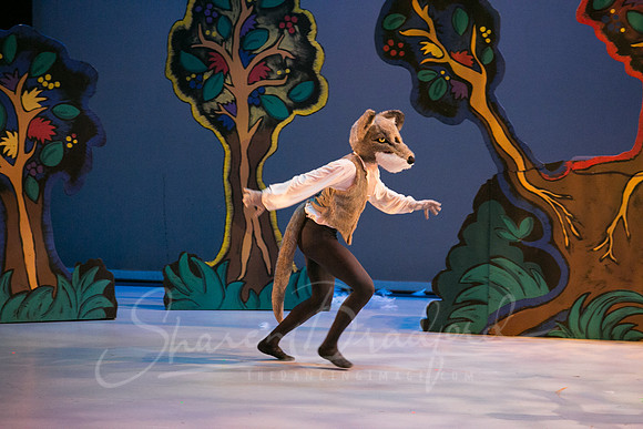 Peter and the Wolf Sat 2018 pc Sharen Bradford-0357