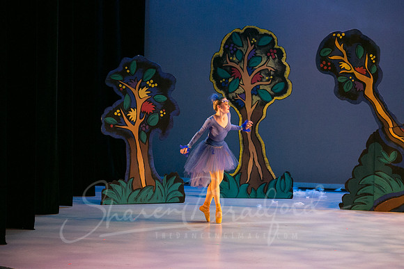 Peter and the Wolf Sat 2018 pc Sharen Bradford-0359