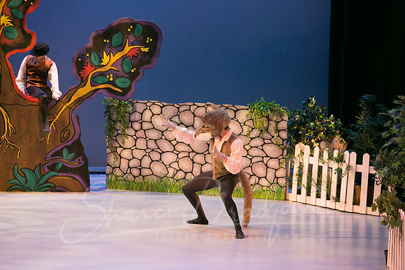 Peter and the Wolf Sat 2018 pc Sharen Bradford-0360