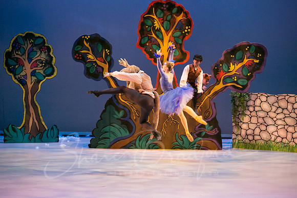 Peter and the Wolf Sat 2018 pc Sharen Bradford-0361