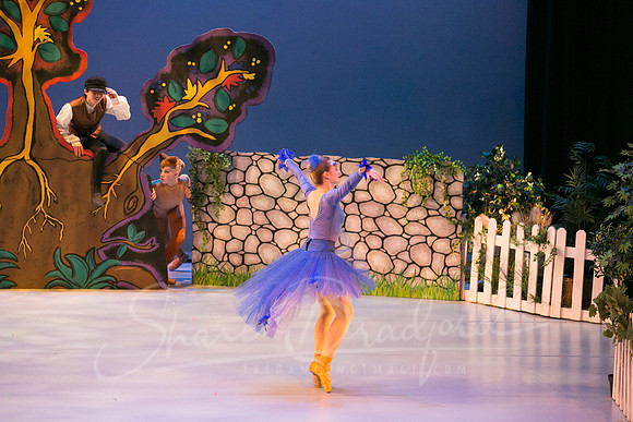Peter and the Wolf Sat 2018 pc Sharen Bradford-0363