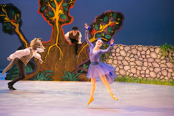 Peter and the Wolf Sat 2018 pc Sharen Bradford-0365
