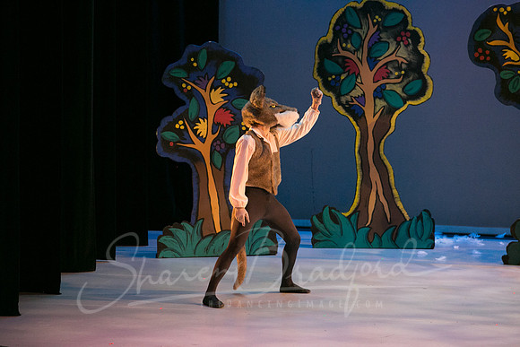 Peter and the Wolf Sat 2018 pc Sharen Bradford-0370