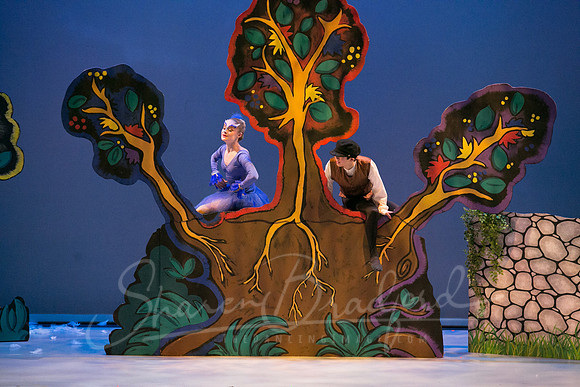Peter and the Wolf Sat 2018 pc Sharen Bradford-0372