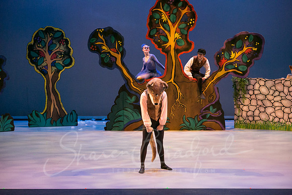 Peter and the Wolf Sat 2018 pc Sharen Bradford-0377