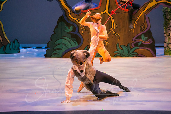 Peter and the Wolf Sat 2018 pc Sharen Bradford-0380