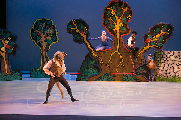 Peter and the Wolf Sat 2018 pc Sharen Bradford-0382