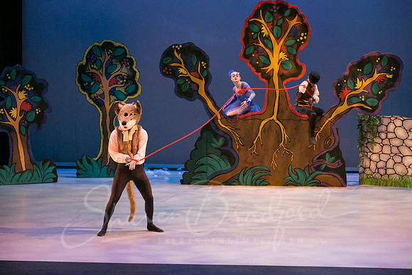 Peter and the Wolf Sat 2018 pc Sharen Bradford-0383