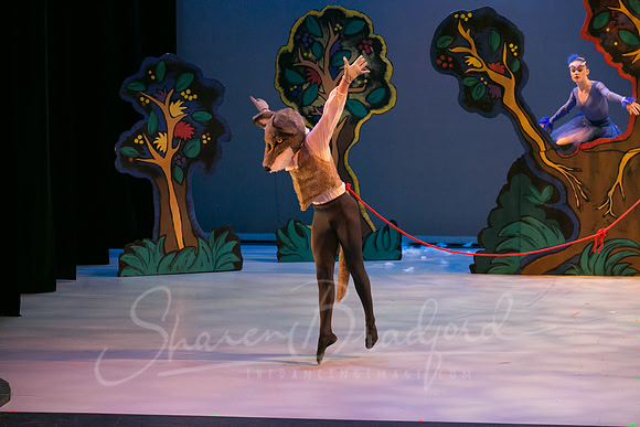 Peter and the Wolf Sat 2018 pc Sharen Bradford-0385