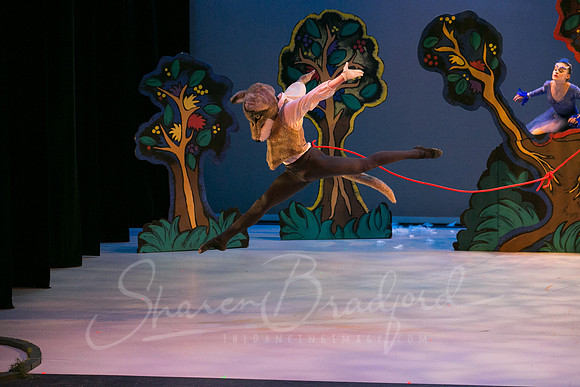 Peter and the Wolf Sat 2018 pc Sharen Bradford-0386