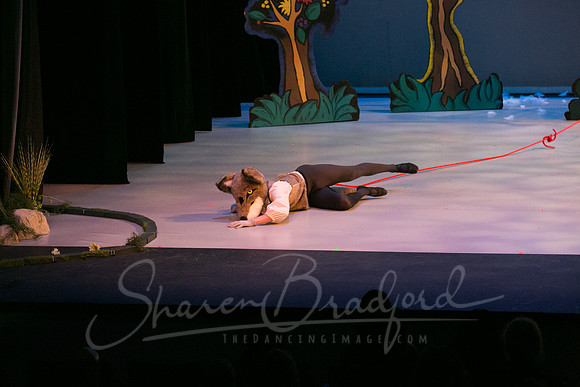 Peter and the Wolf Sat 2018 pc Sharen Bradford-0387