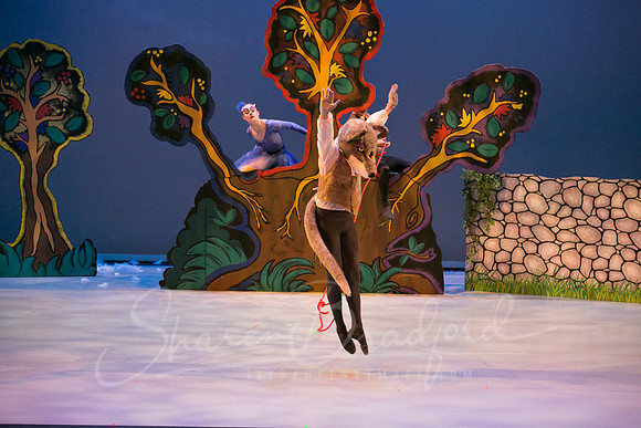 Peter and the Wolf Sat 2018 pc Sharen Bradford-0389