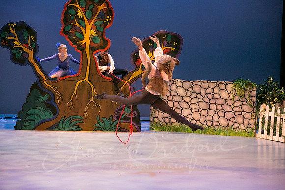 Peter and the Wolf Sat 2018 pc Sharen Bradford-0390