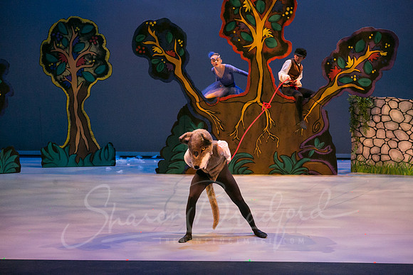Peter and the Wolf Sat 2018 pc Sharen Bradford-0392