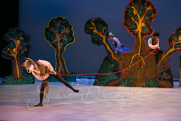 Peter and the Wolf Sat 2018 pc Sharen Bradford-0394