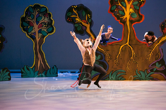 Peter and the Wolf Sat 2018 pc Sharen Bradford-0398