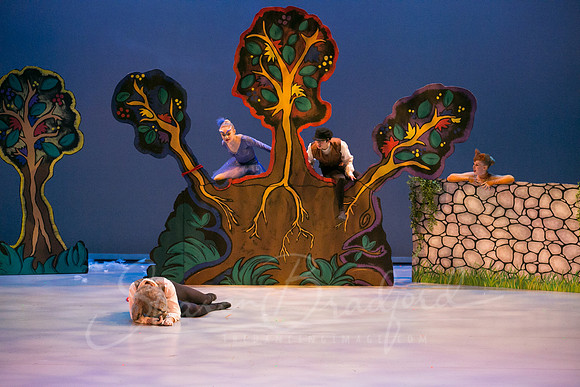 Peter and the Wolf Sat 2018 pc Sharen Bradford-0399