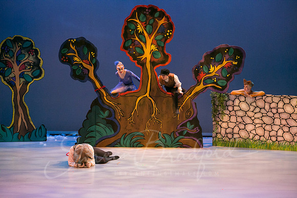 Peter and the Wolf Sat 2018 pc Sharen Bradford-0400