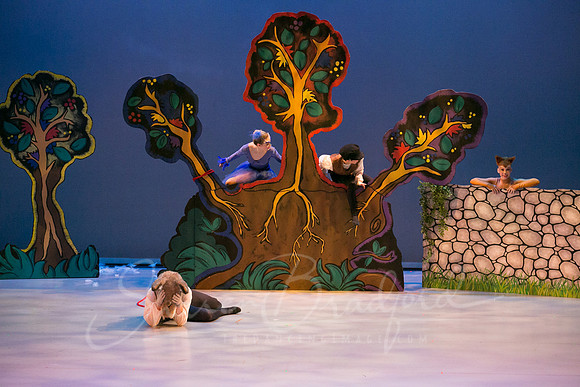 Peter and the Wolf Sat 2018 pc Sharen Bradford-0401