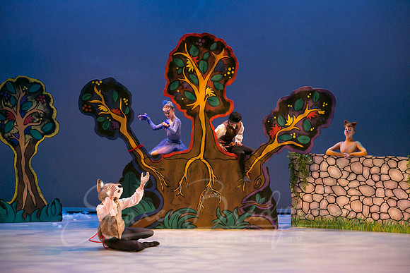 Peter and the Wolf Sat 2018 pc Sharen Bradford-0402