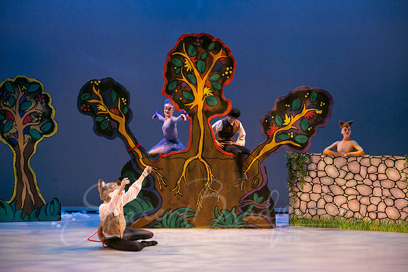 Peter and the Wolf Sat 2018 pc Sharen Bradford-0403