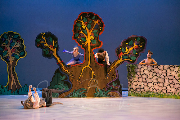 Peter and the Wolf Sat 2018 pc Sharen Bradford-0404
