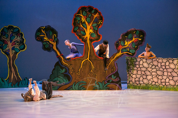 Peter and the Wolf Sat 2018 pc Sharen Bradford-0405