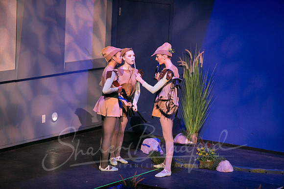 Peter and the Wolf Sat 2018 pc Sharen Bradford-0417