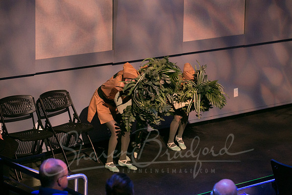 Peter and the Wolf Sat 2018 pc Sharen Bradford-0420