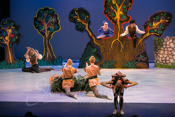 Peter and the Wolf Sat 2018 pc Sharen Bradford-0430