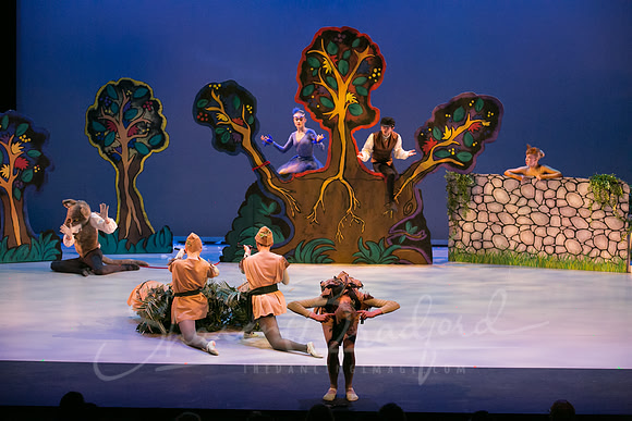Peter and the Wolf Sat 2018 pc Sharen Bradford-0431