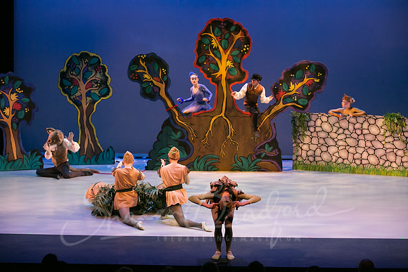 Peter and the Wolf Sat 2018 pc Sharen Bradford-0432